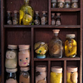 Heads in jars