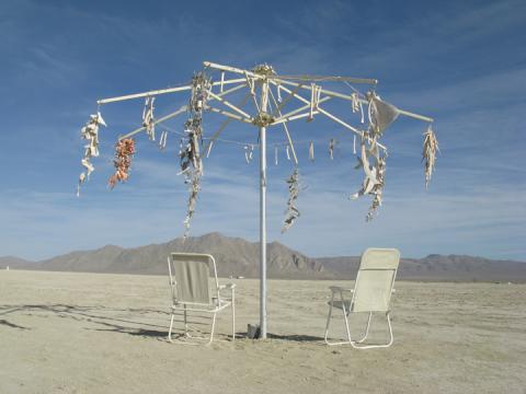 Animal Bones, Barbie parts, site installation art, Black Rock Desert